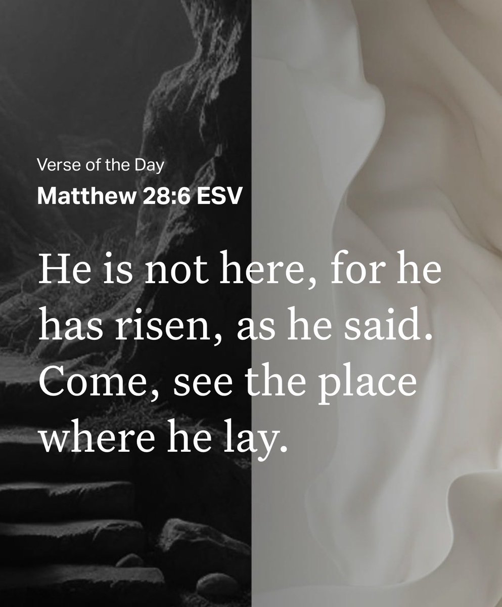 Dana Loesch tweet media