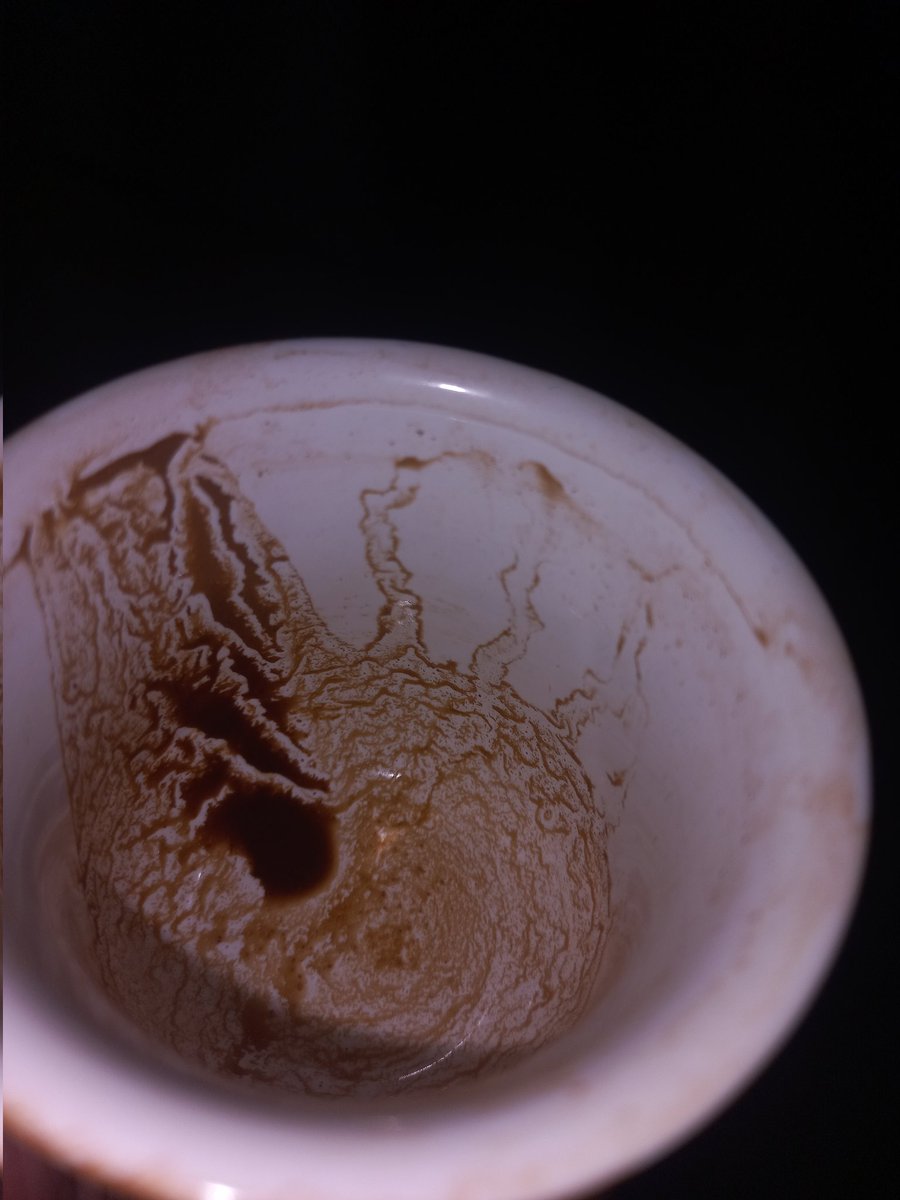 khadija369 tweet media