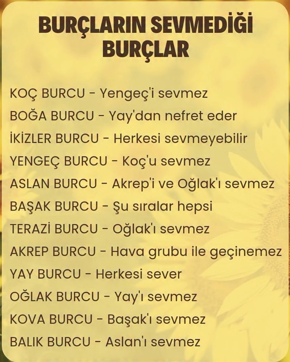 Melis ✨ tweet media