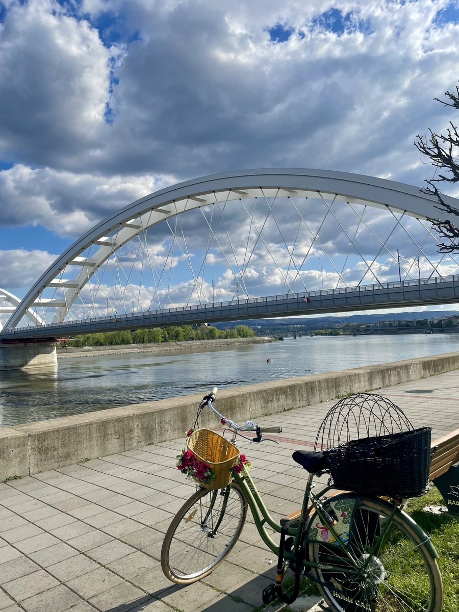 💫Fićfirić 💫 tweet media