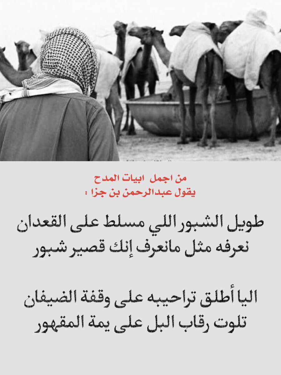 vip خاص نوادرالابل tweet media