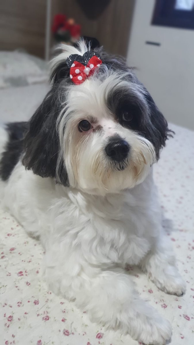 Caroline tweet media