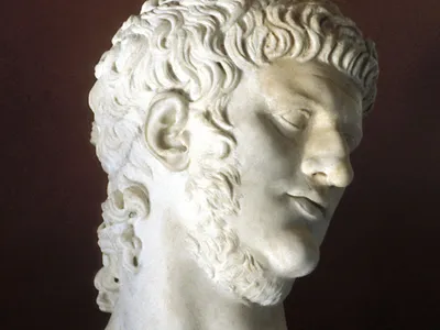 Michael McGill 🏛 tweet media