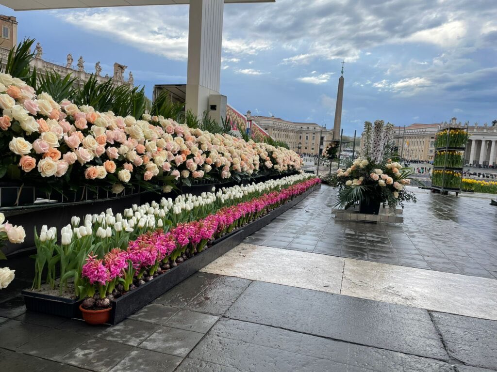 Timothy Karera tweet media