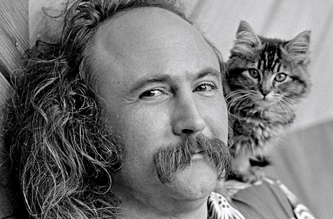 Psychedelic Jukebox tweet media