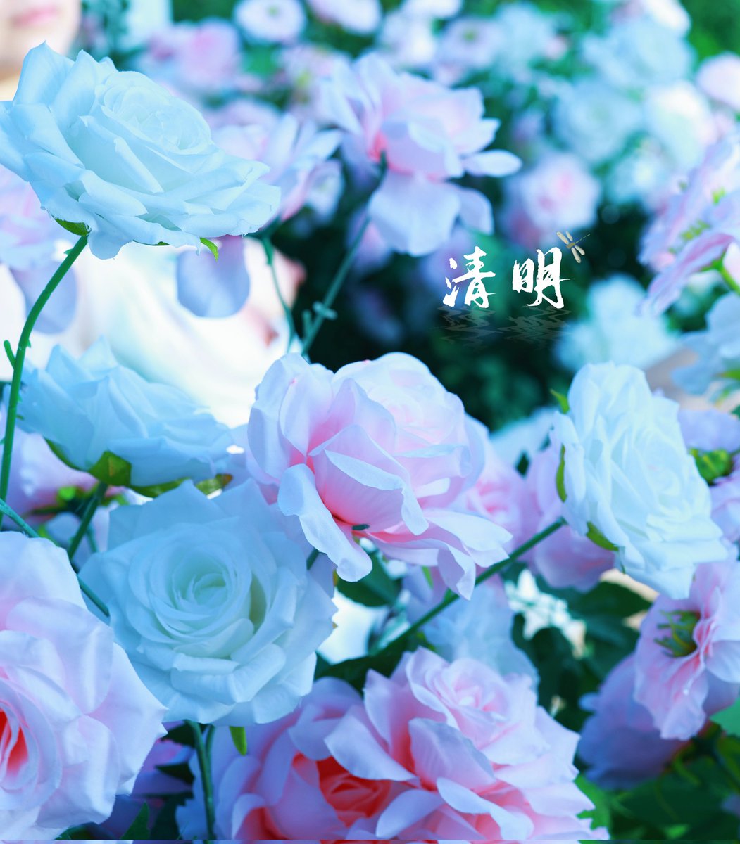 天天爱露初 tweet media