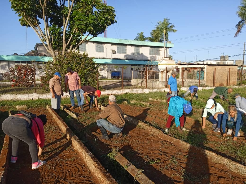 YaneisyO32304's tweet image. Se efectua trabajo voluntario en el organoponico 4 de Abril de Jagüey Grande.🇨🇺La producción de alimentos es prioridad del Programa Económico y Social del Gobierno 2026.
#MatancerosEnVictoria