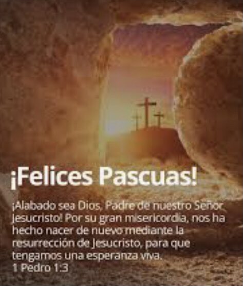 🌼Aleja🌼🇦🇷🇮🇹 tweet media