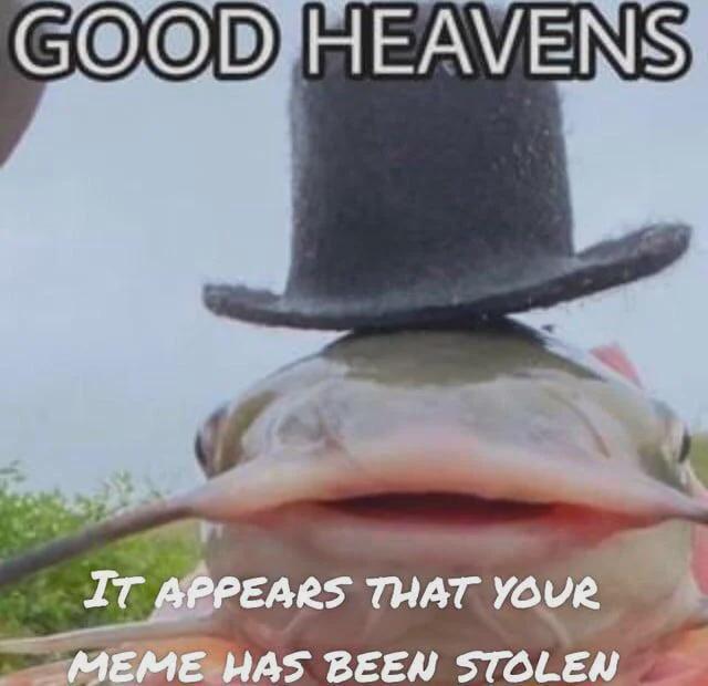 WithoutOntos🌹 tweet media