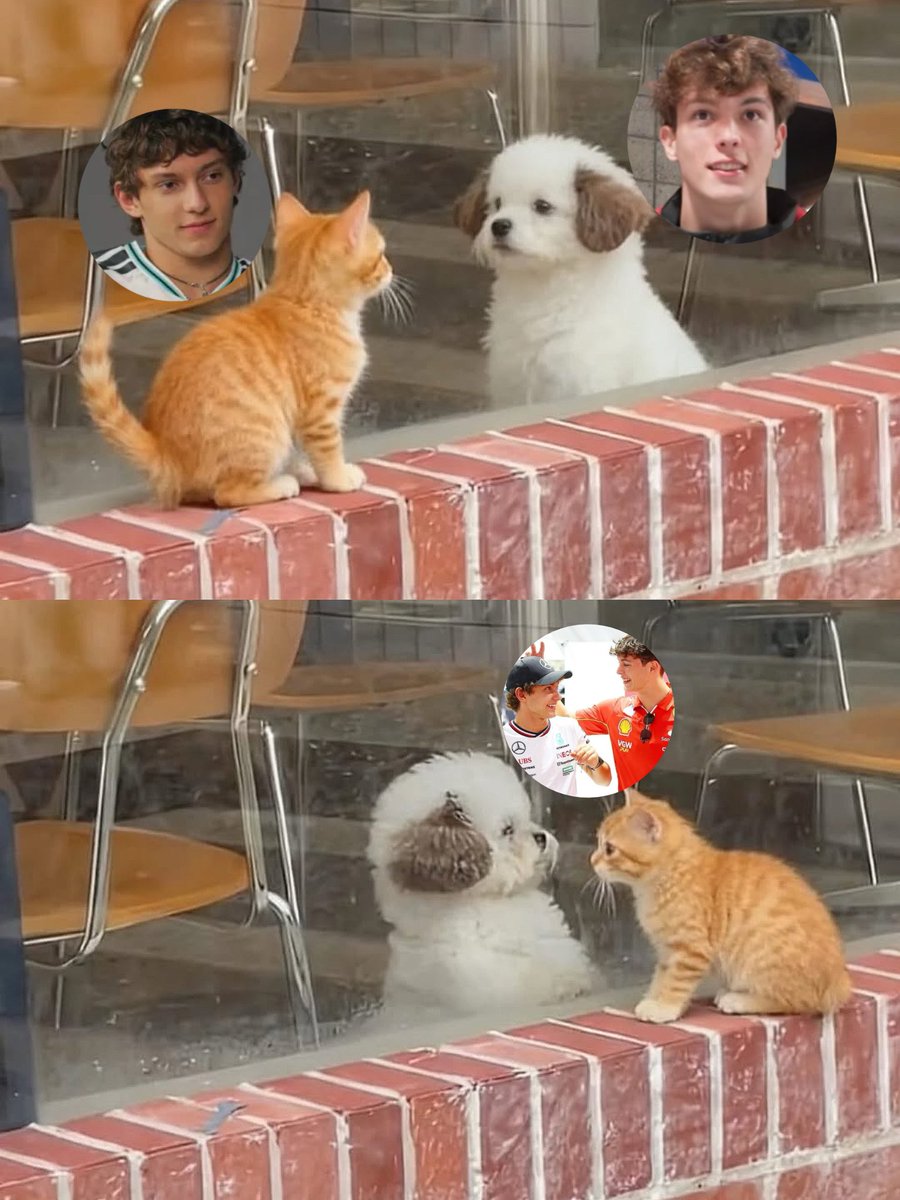 adell¹² ⁸⁷🍓 tweet media