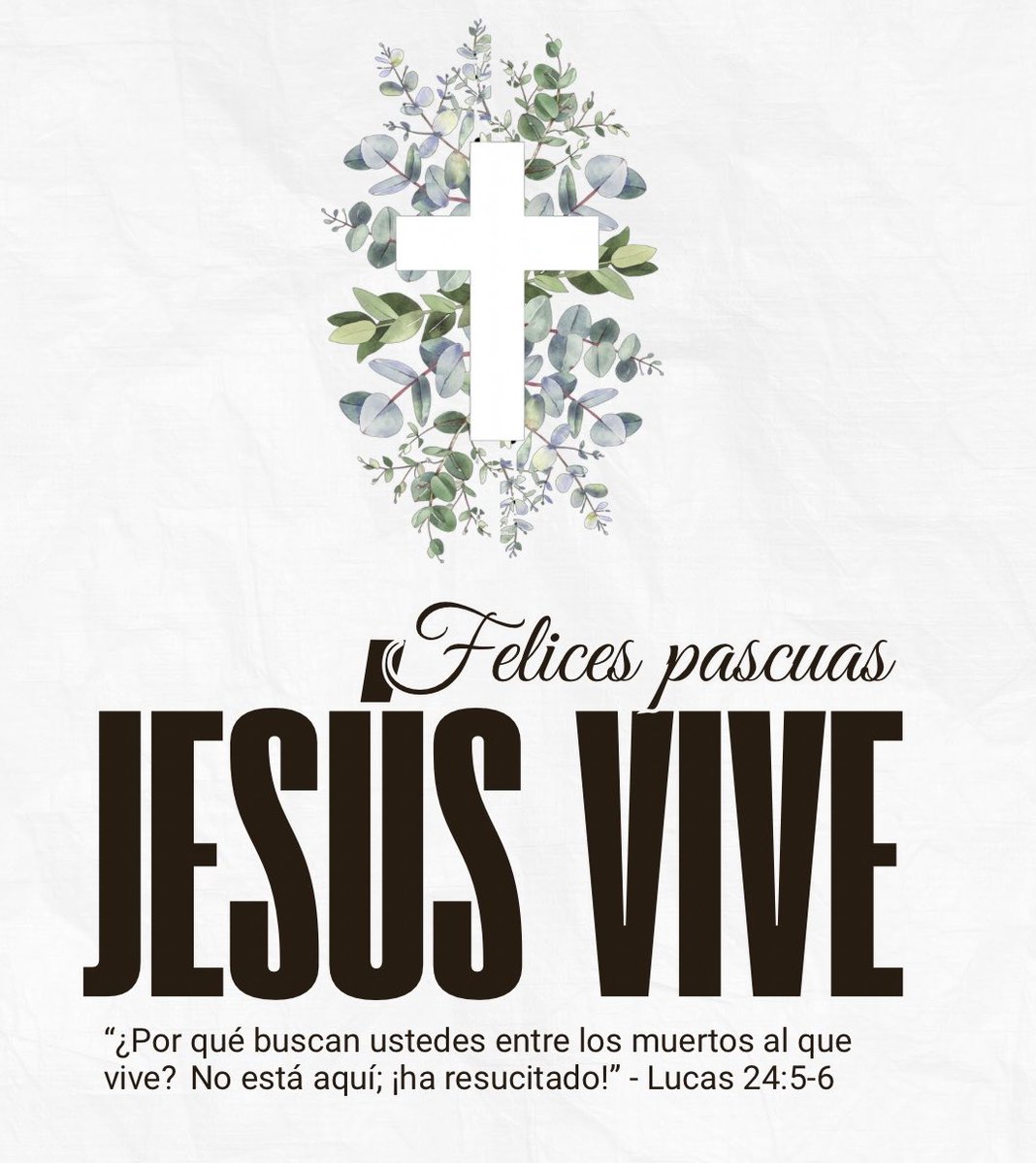 Sergio Oso Leavy tweet media