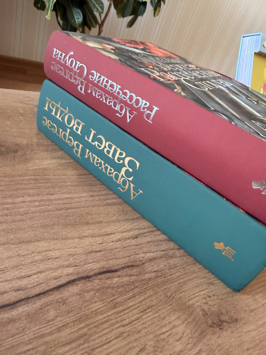 dari 𝜗ৎ tweet media