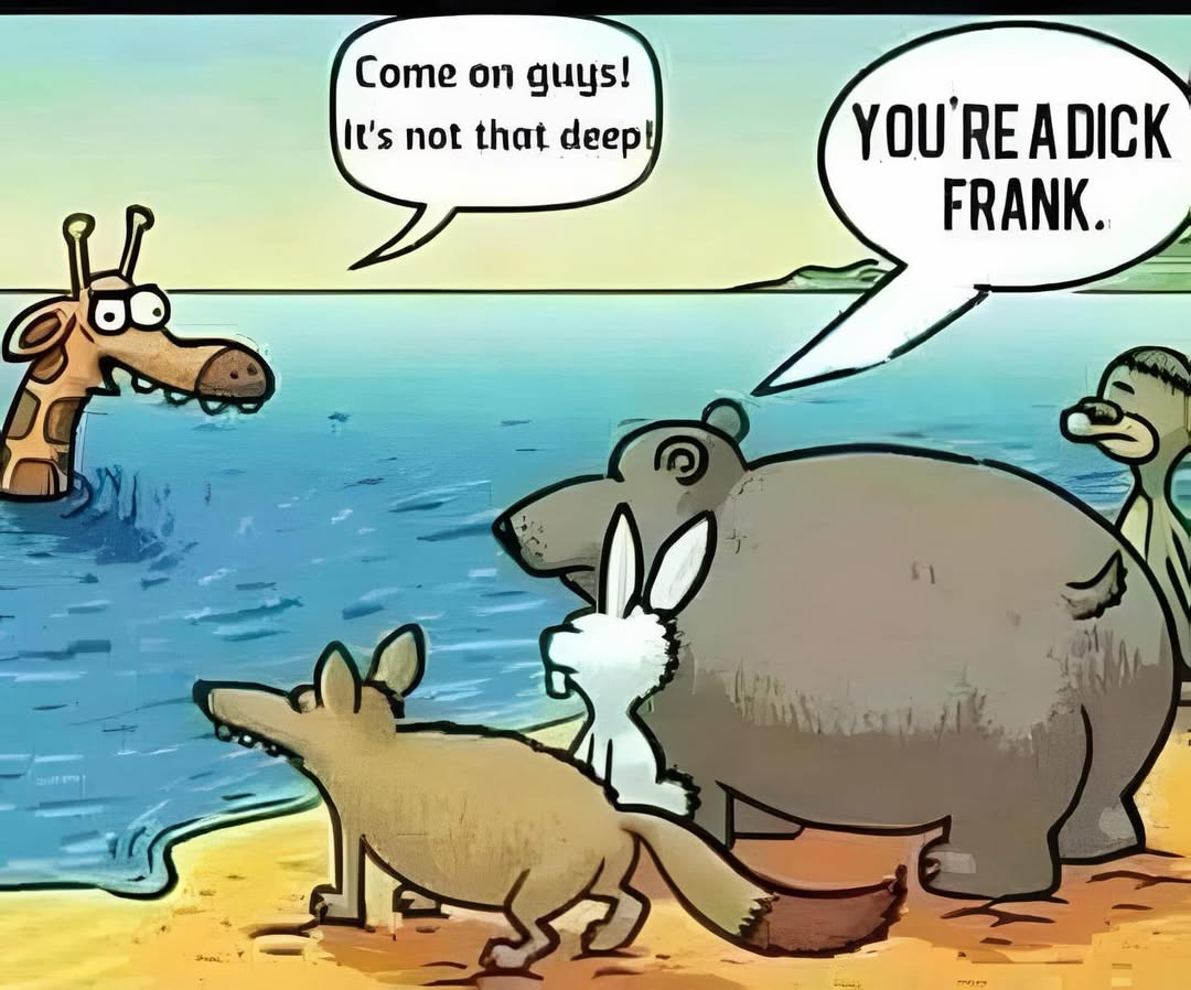 LAnDo NIFFIRG™️🇨🇦 tweet media