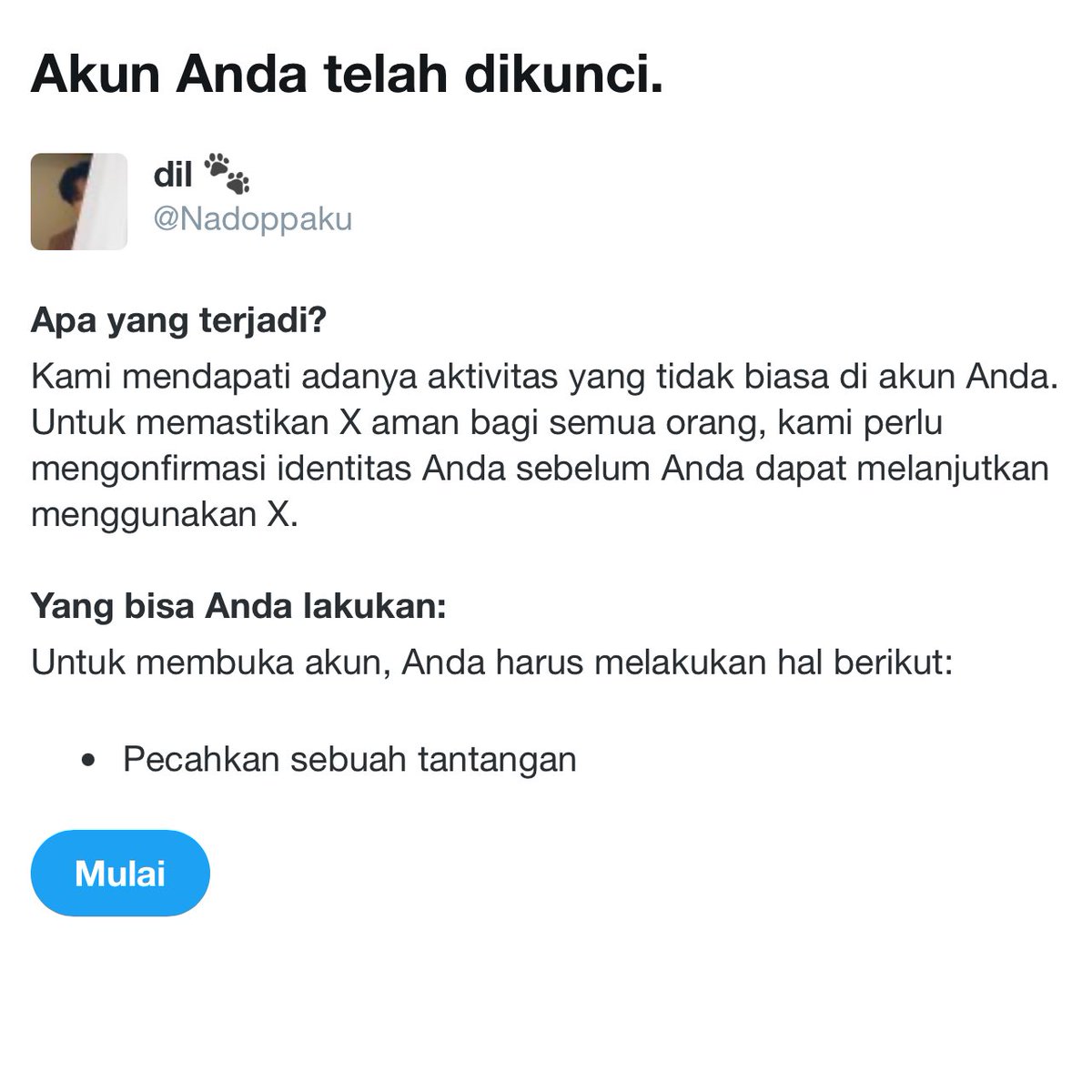 dil 🐾 tweet media