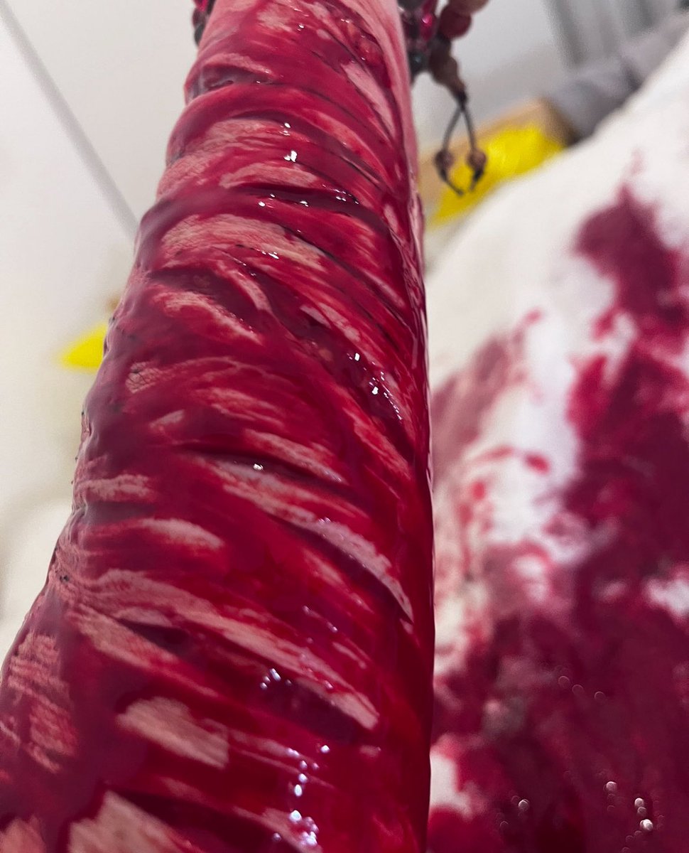 🫀G-DRAGON OF SHTWT🫀 tweet media