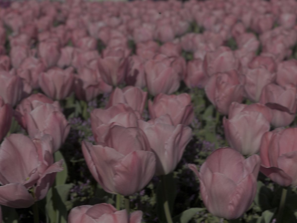 𝖔𝖗𝖎 tweet media