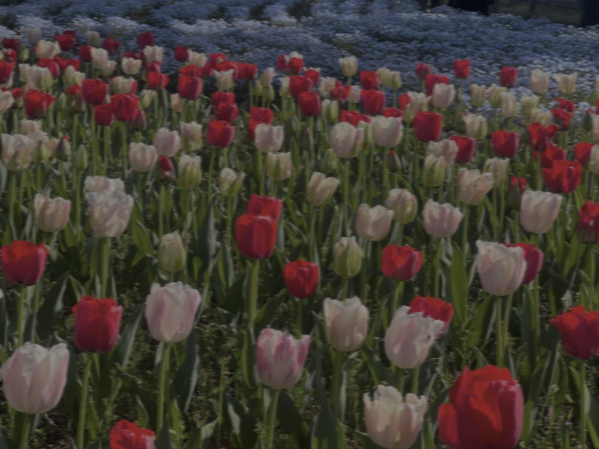 𝖔𝖗𝖎 tweet media