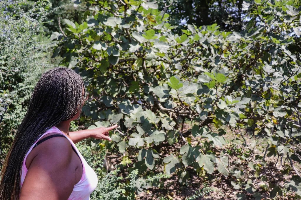 Austin MacNamara tweet media