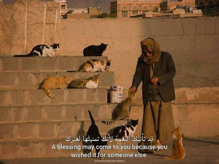 Payan Anouk-Laura🇵🇸CEASE FIRE NOW🇵🇸🇨🇦 tweet media