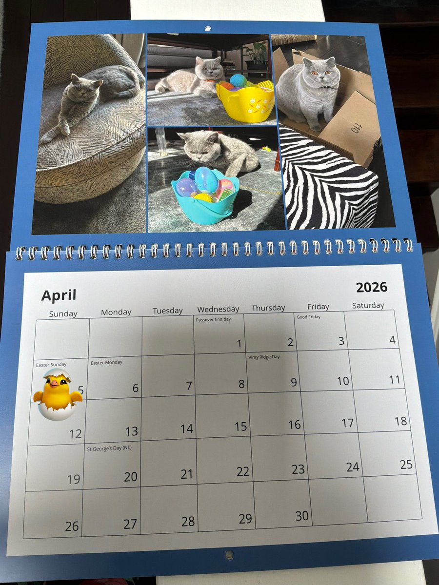 LordGraydon's tweet image. Wishes for a #Happy Easter 🐣 to ALL celebrating this day.
Thank you @DonnaLeeThomps8 for the 🗓️🎁 🩷 w pics of past &amp;amp; present. #CatsOfTwitter #CatsOnTwitter