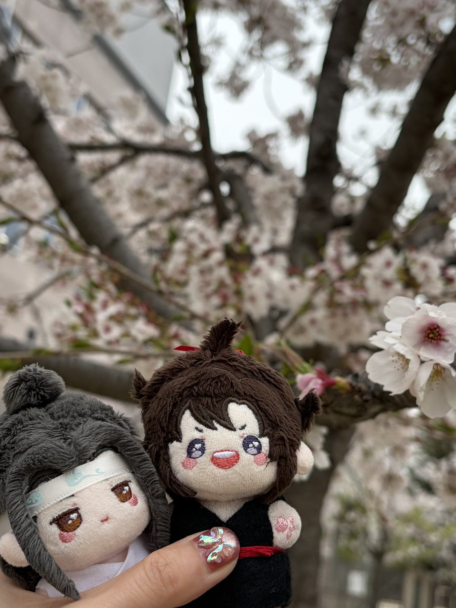 ᗰᗝᑎᗩᔌᗩ🍀 tweet media