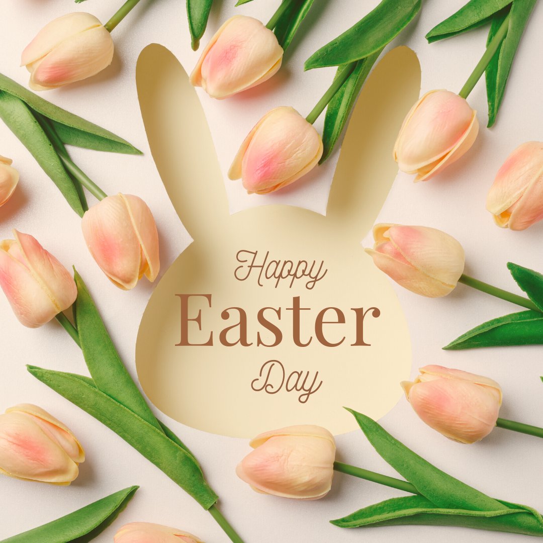 Silver Key Senior Services tweet media