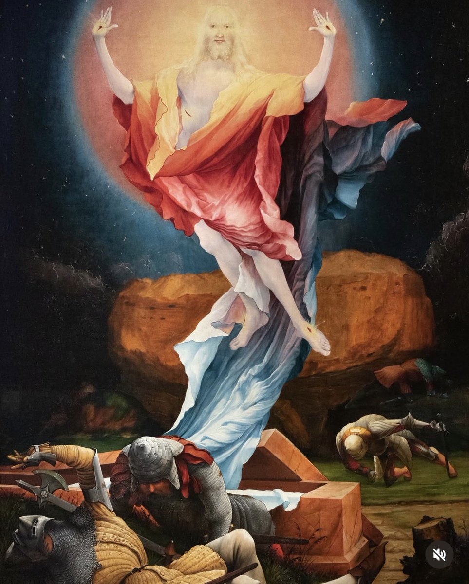 Tommaso Greco tweet media