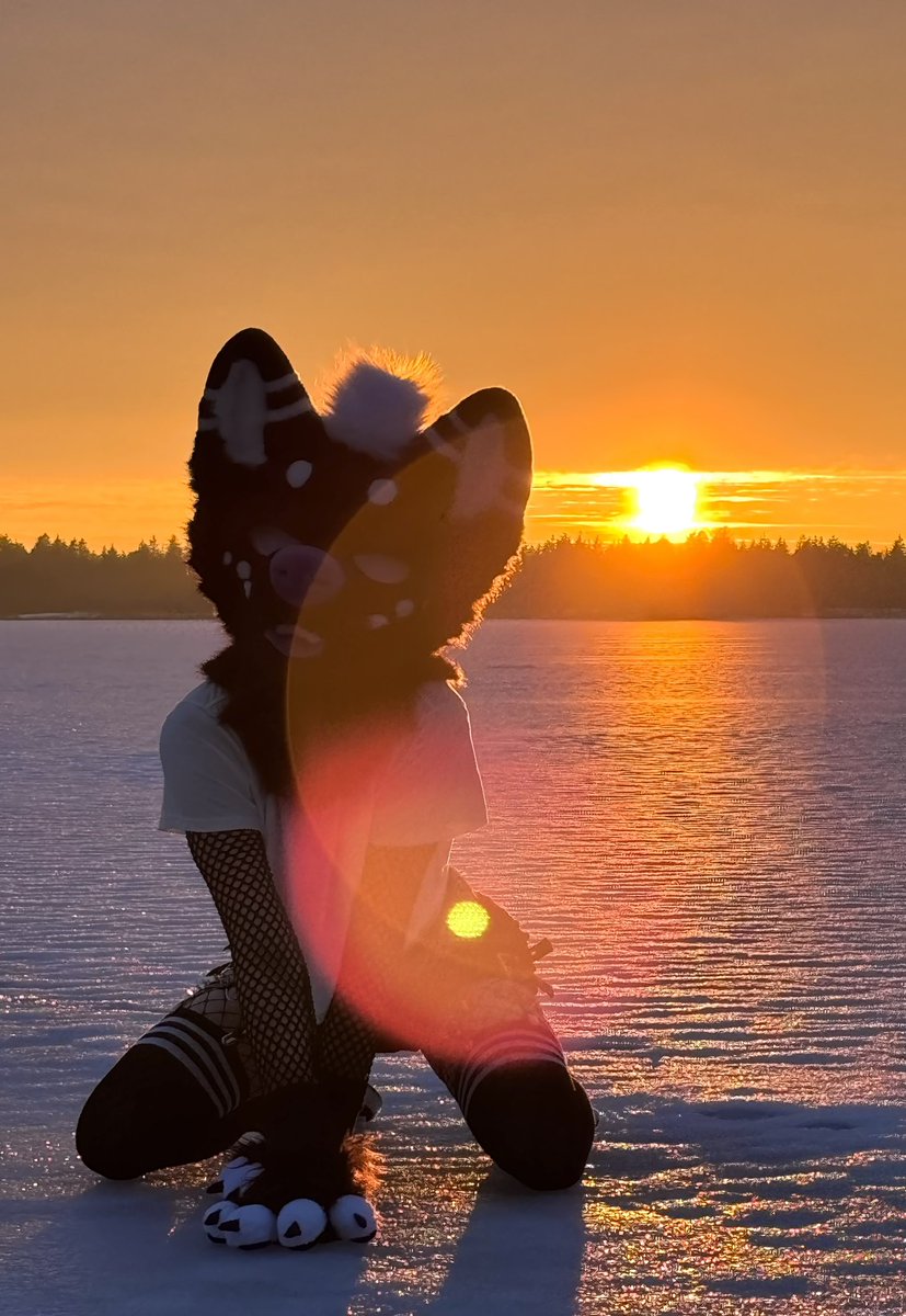 coyz 🔜 CFz tweet media