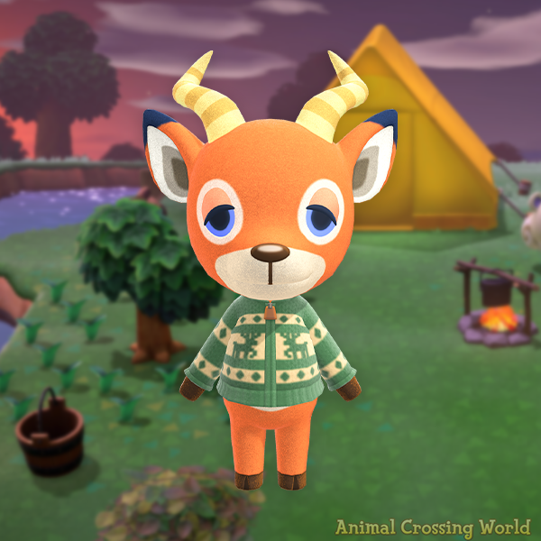 Happy Birthday to Beau! 🎉🦌