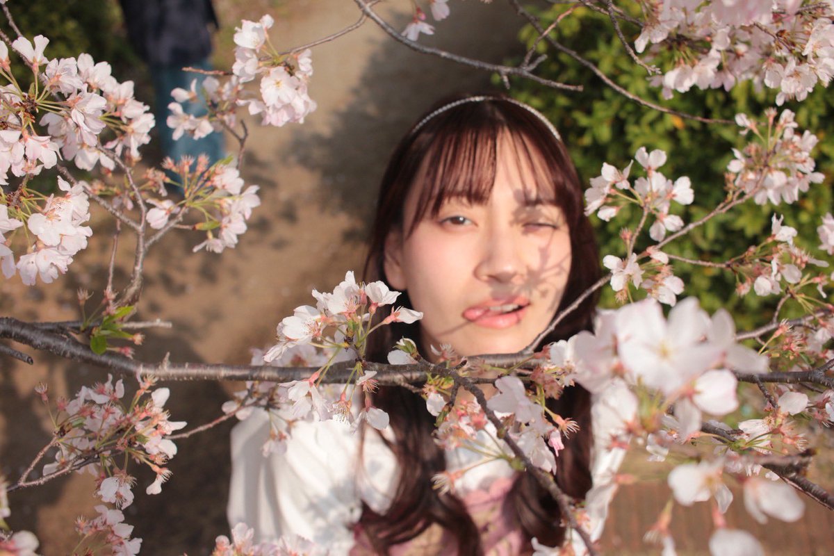 宮内 萌々花 tweet media