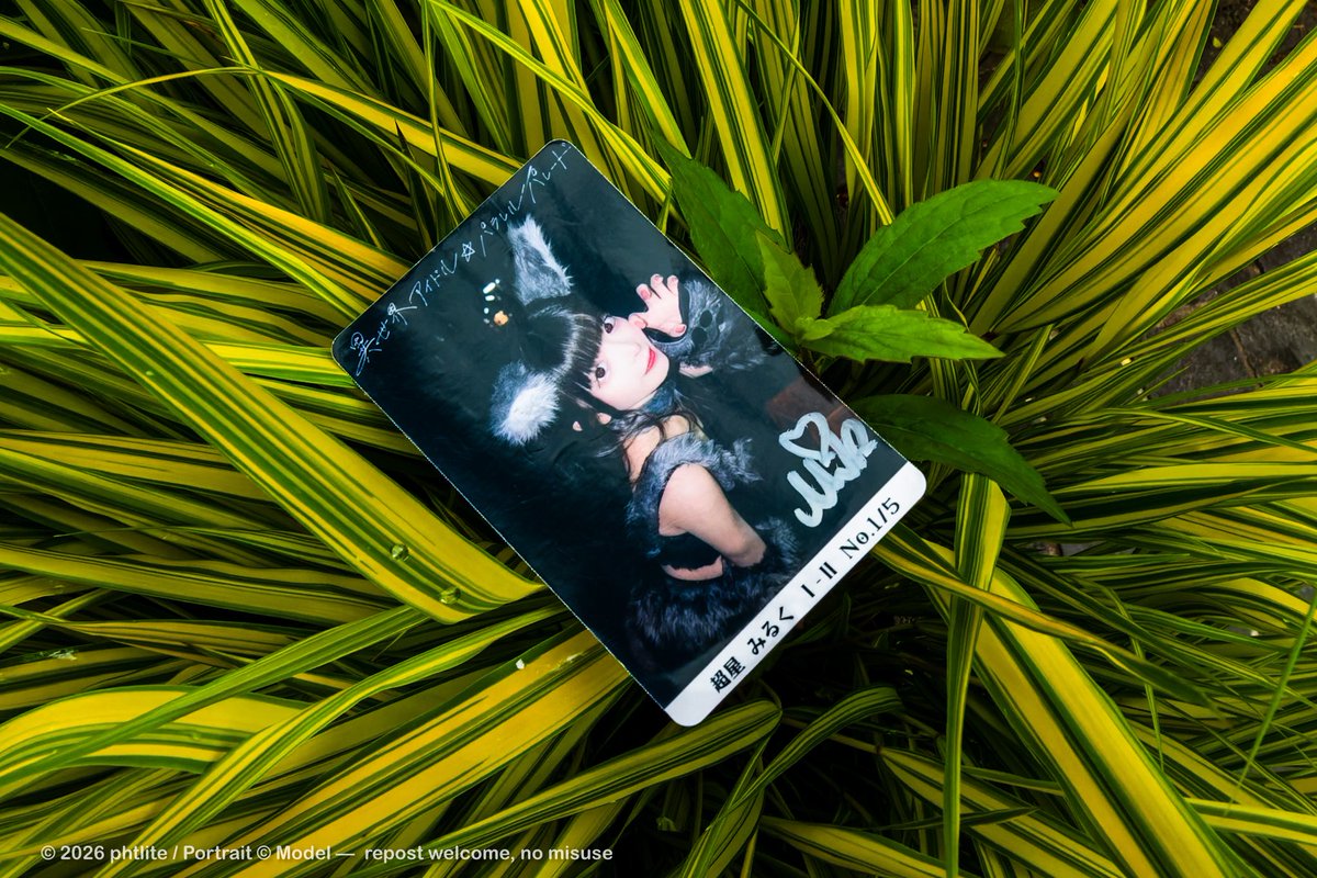 milklite tweet media