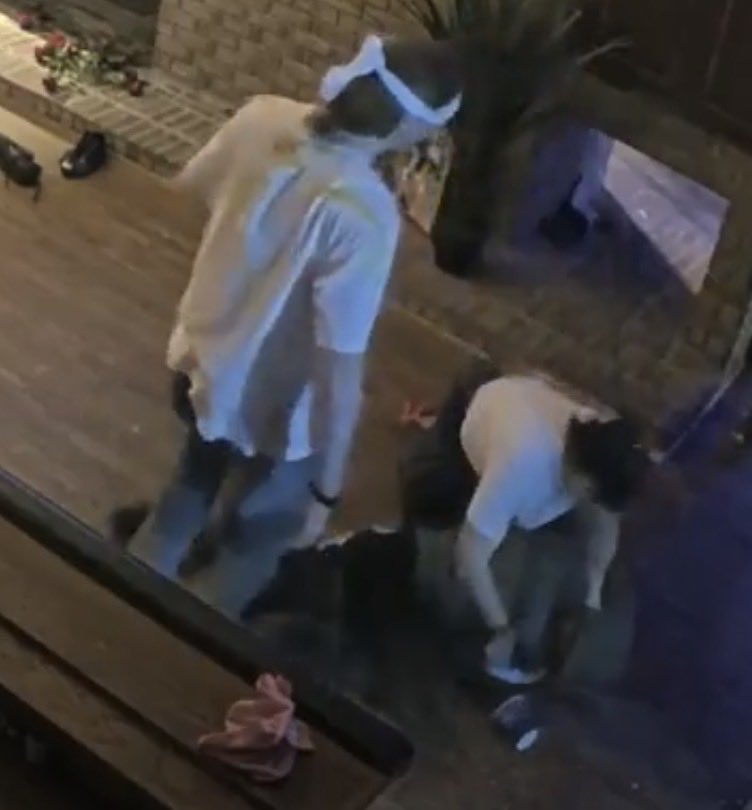 Sims 🐍 tweet media