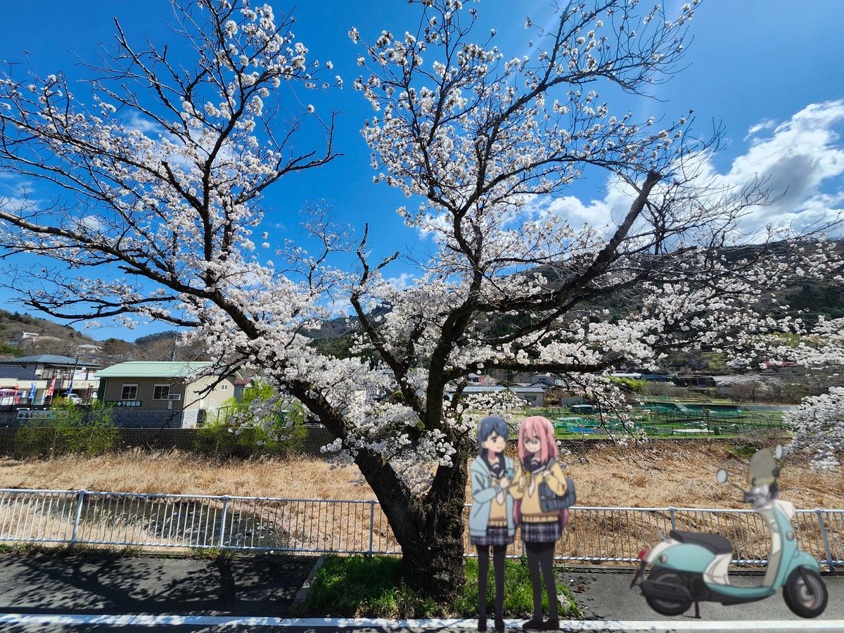 るむち tweet media