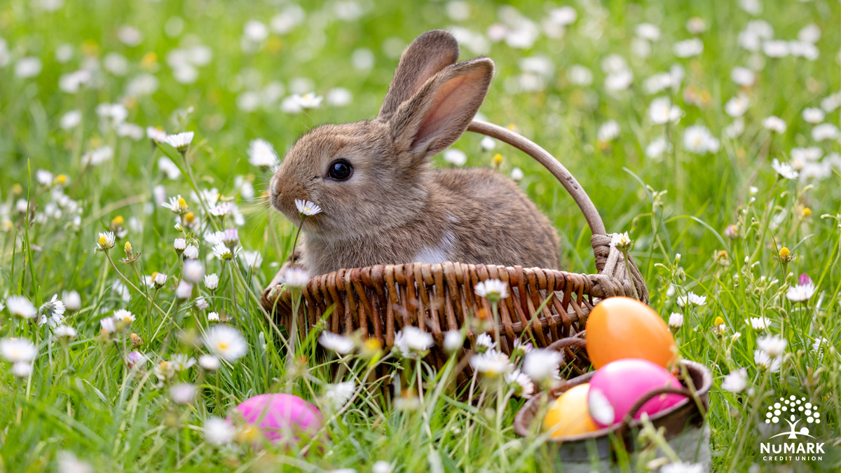 NuMark Credit Union tweet media