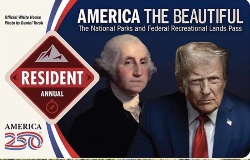 GUILLERMO FESSER tweet media