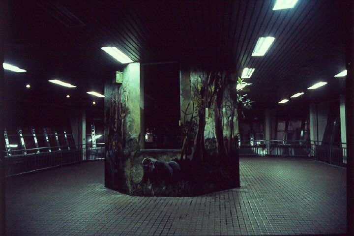 🐻❄️🚪 tweet media