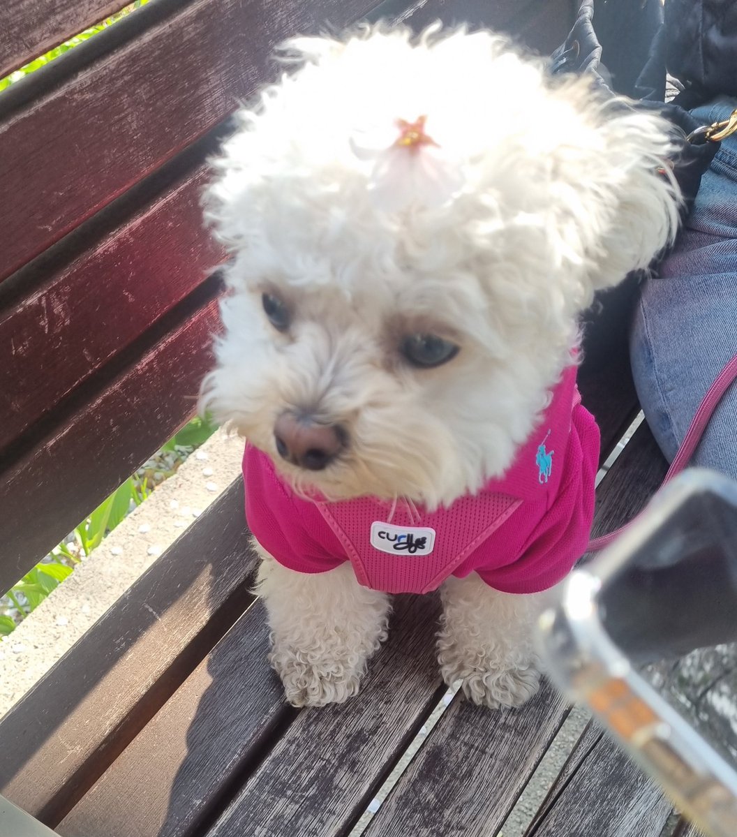 최밥풀 tweet media