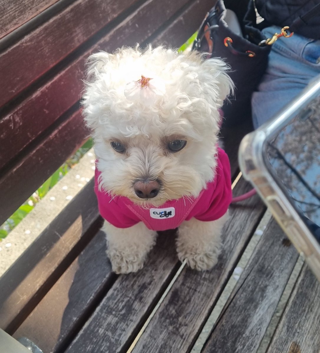 최밥풀 tweet media