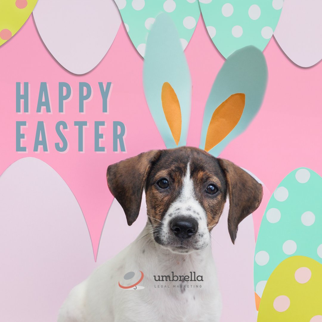 UmbrellaLM's tweet photo. Happy Easter from our team to yours! We wish you a day of joy and the warmth of togetherness 🐰 https://t.co/a0kB9aX0pm