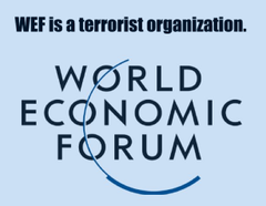 Paolo Laitempergher Giardiniere Uno dei 300 tweet media