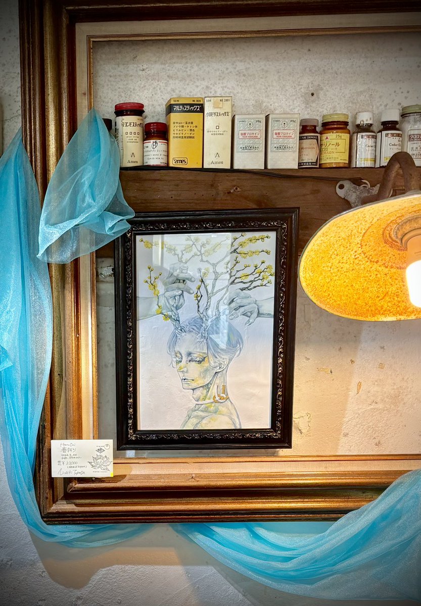 銀狐久/ぎんこきゅう tweet media