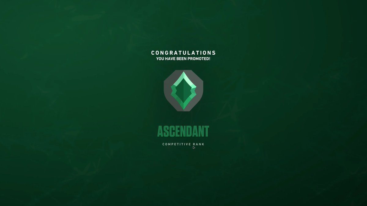 Moruspond tweet media