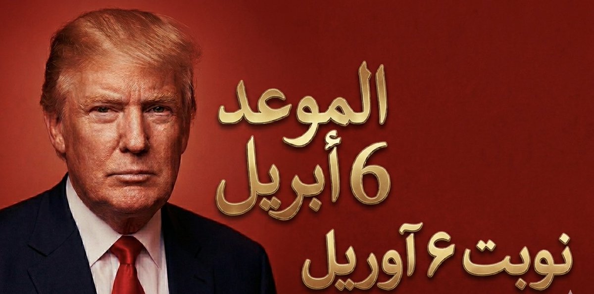 محمد الكتبي🇦🇪🐎 tweet media