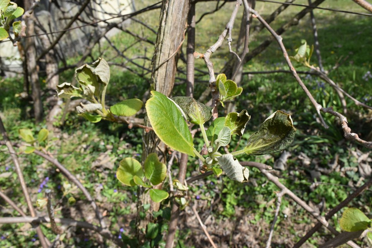 Daniel PAQUET tweet media