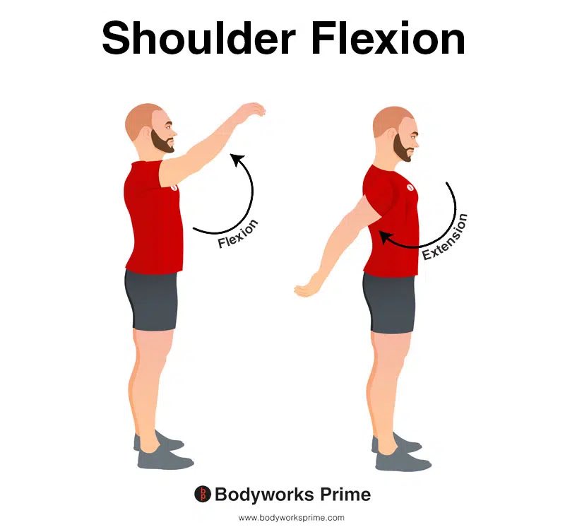 anabolicgut tweet media