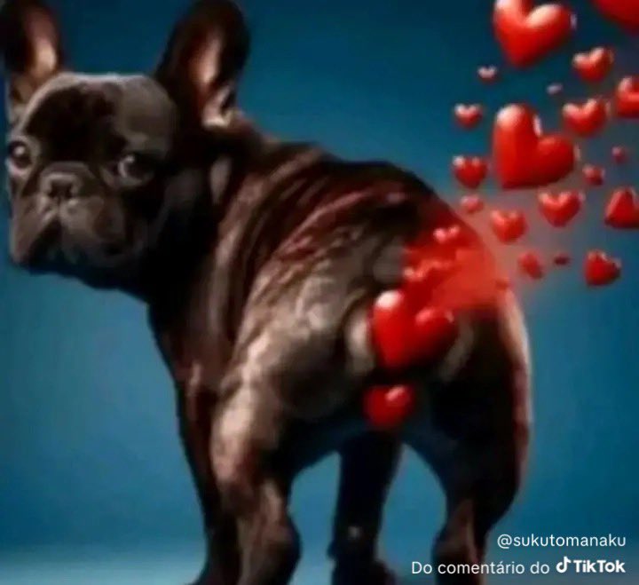 delacruz tweet media