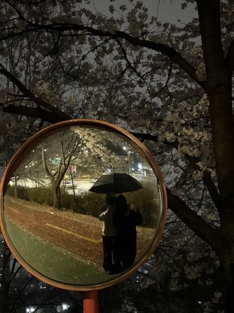 또작이 tweet media