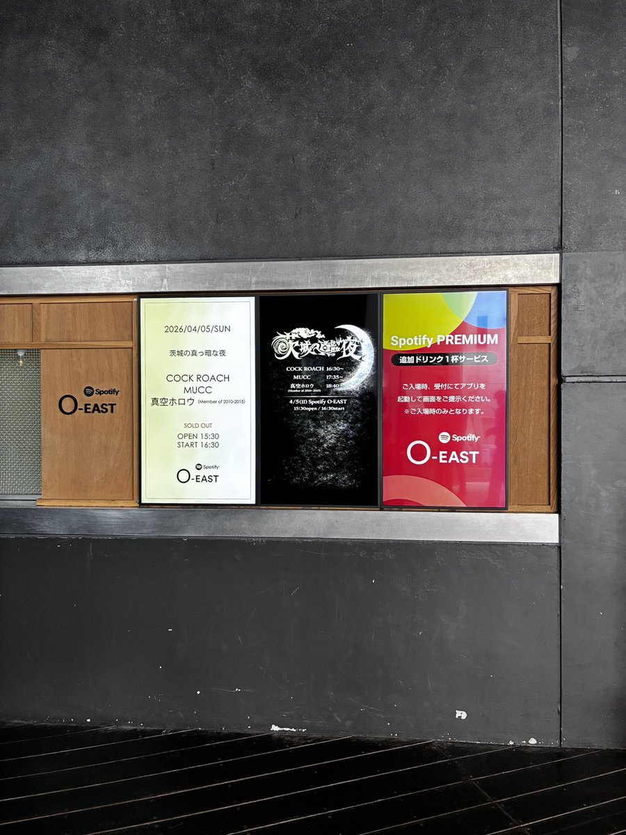 ネコみ tweet media