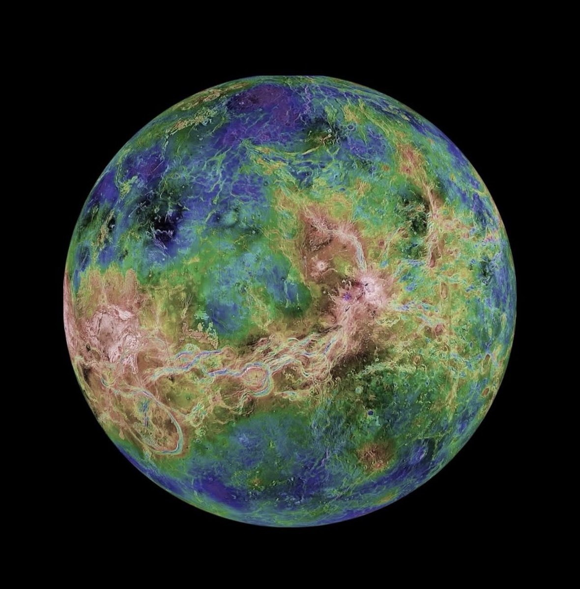 i’d fuck the shit out of venus with my dicktbh