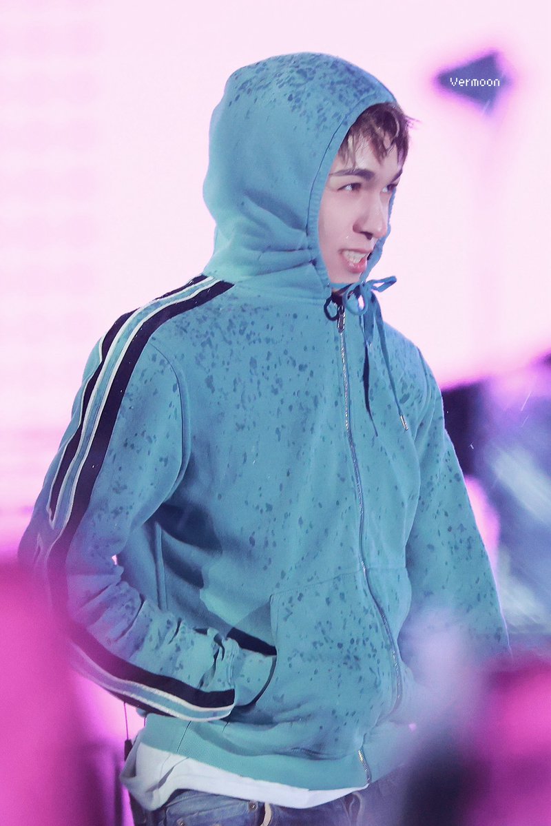 trip to vermoon tweet media